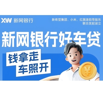 新网银行-好车贷